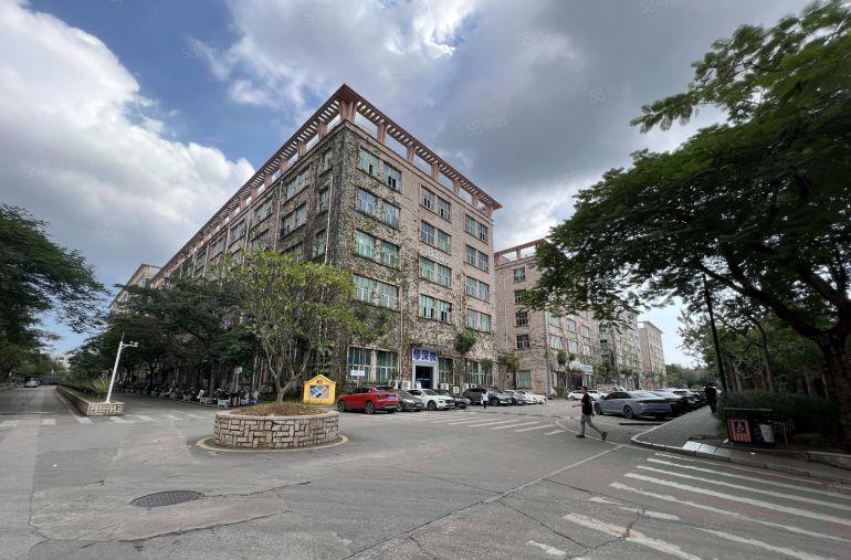 低至16元坪山国资委工业区1000平精装办公研发仓库厂房出租