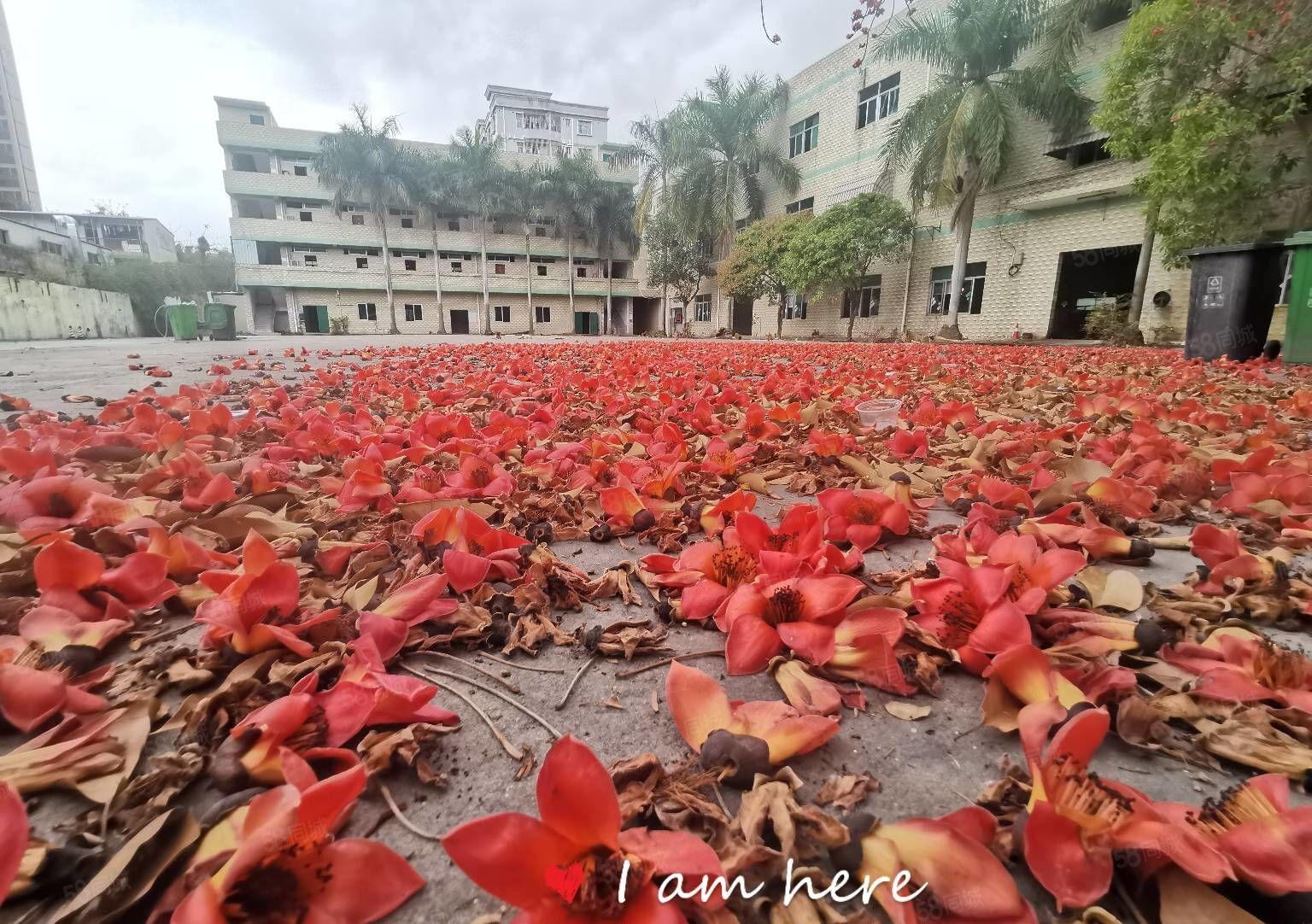 500平起分租！坪山原房东6720平红本独院厂房出租8年合同