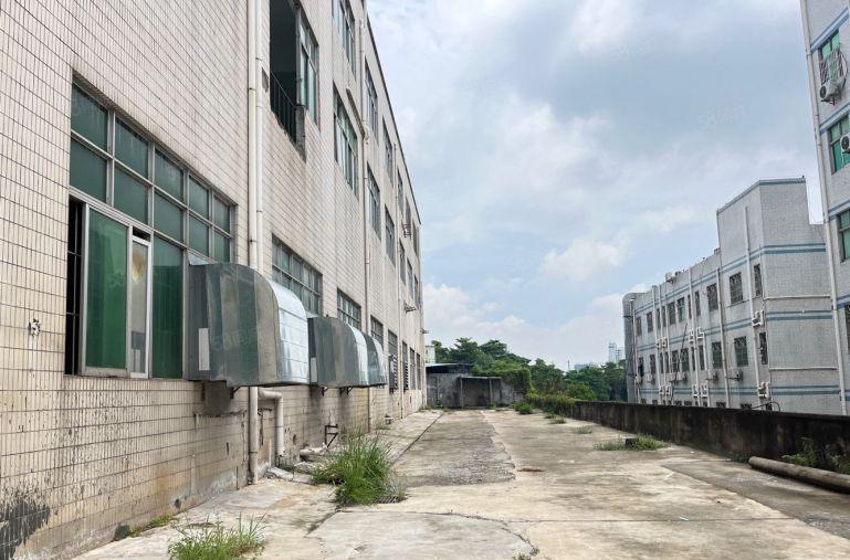 坪山坑梓大工业区一二楼2000平厂房出租 大小可分租一楼6米