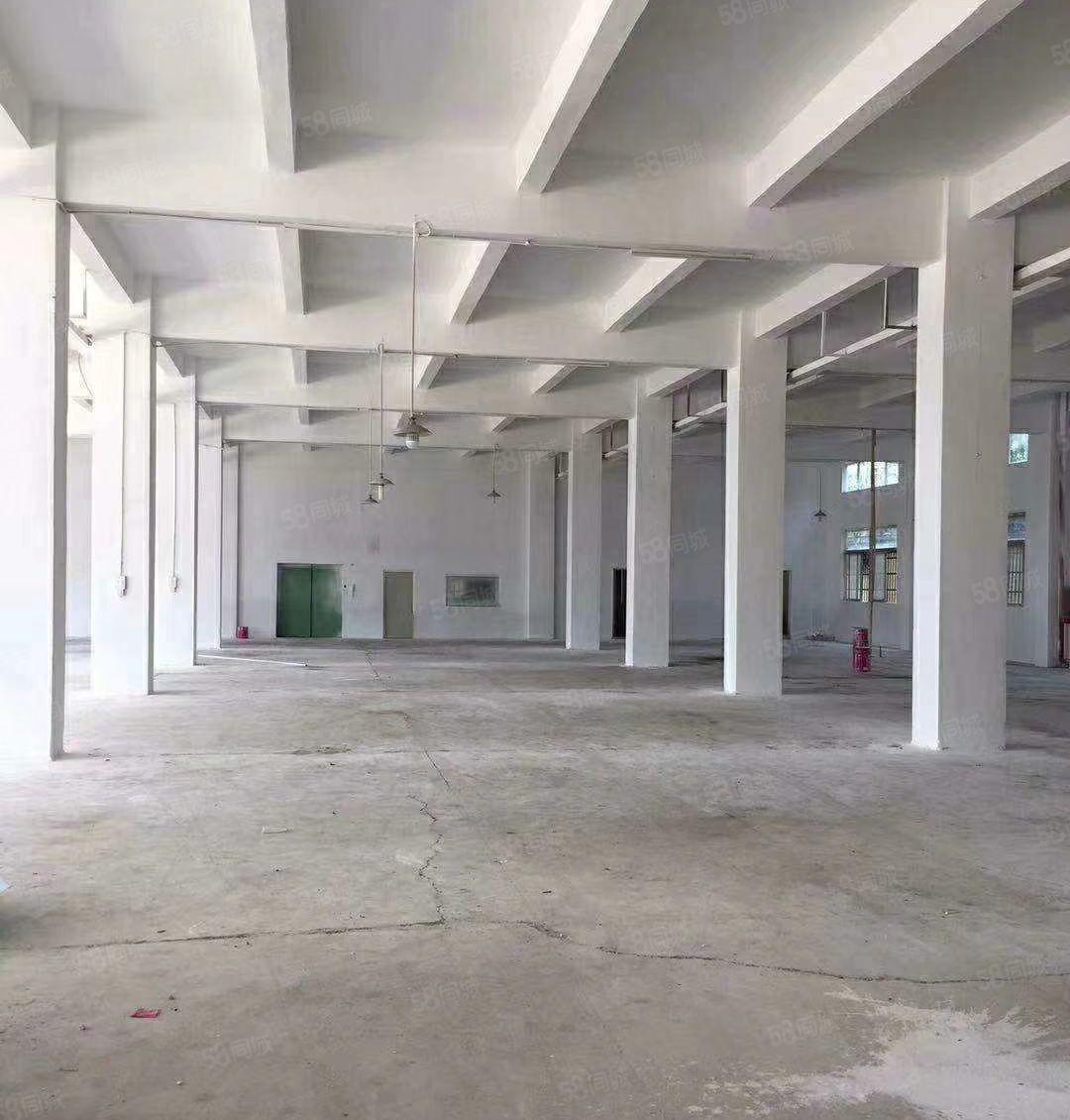 1楼20元起  石井第二工业区独院1楼1300平米，可分租