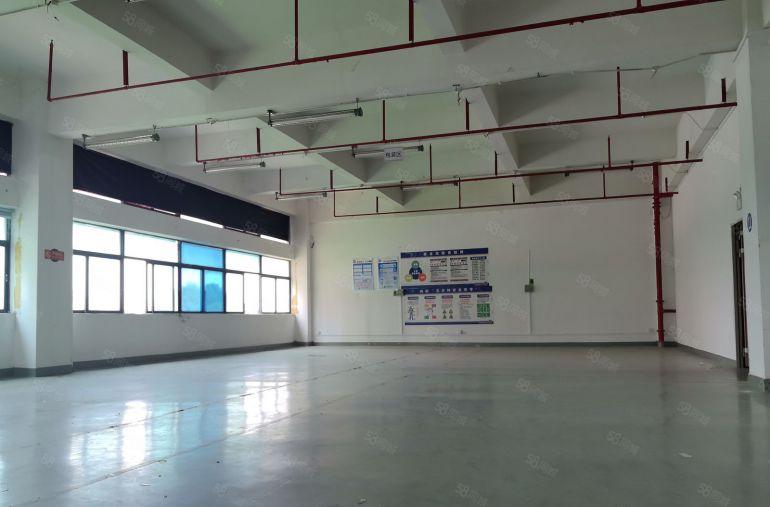 深圳市坪山区原房东精装修500平米，办公室仓库，研发厂房出租