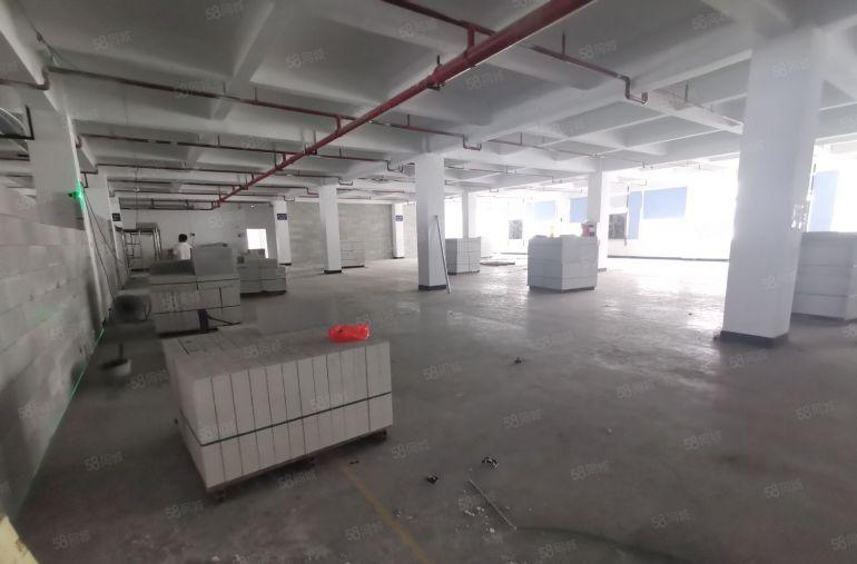 坪山坑梓200平起分工业园仓库厂房出租一楼原房东卸货平台高速