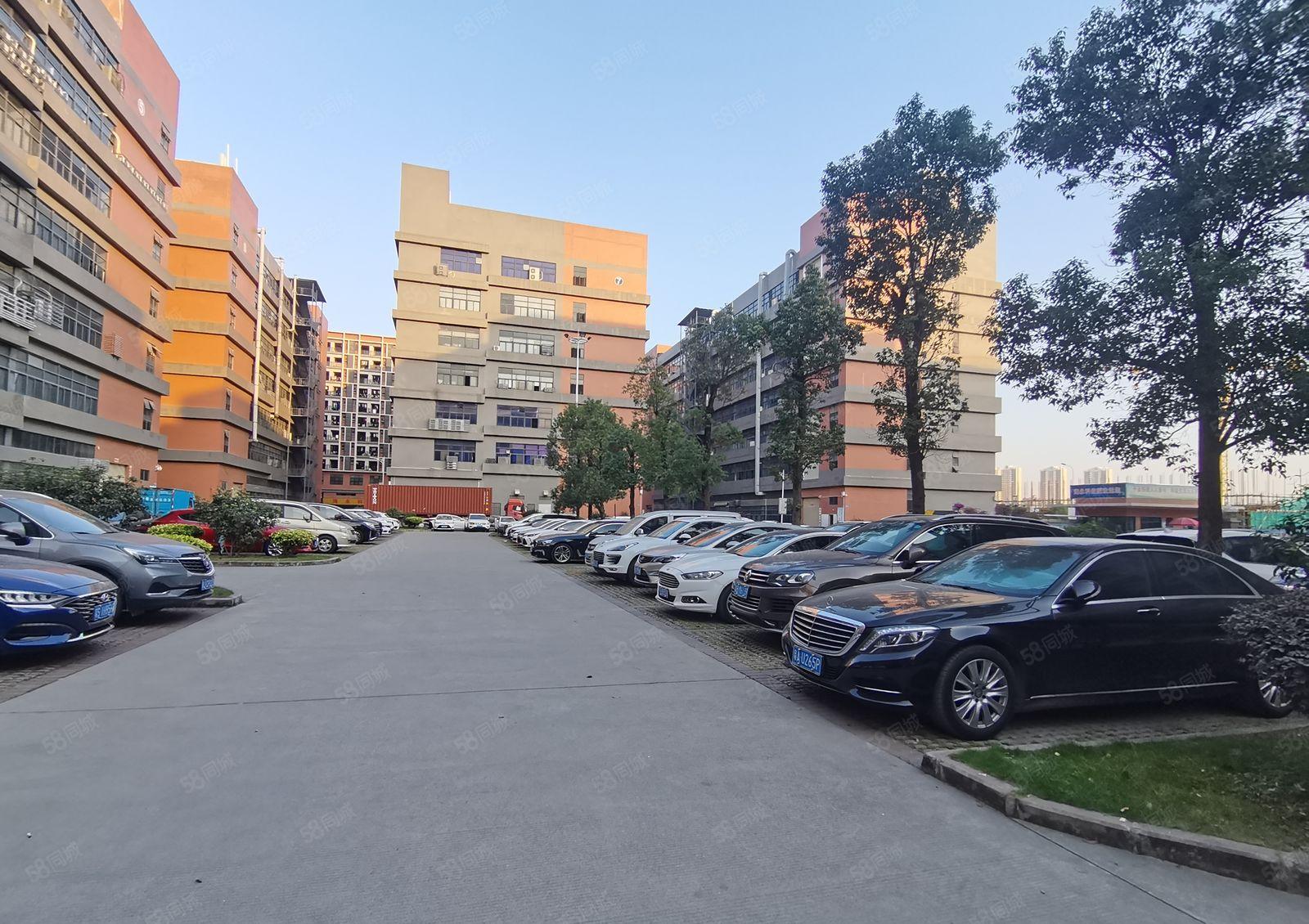 坪山大工业区1000到5000平一二楼厂房原房东21元出租