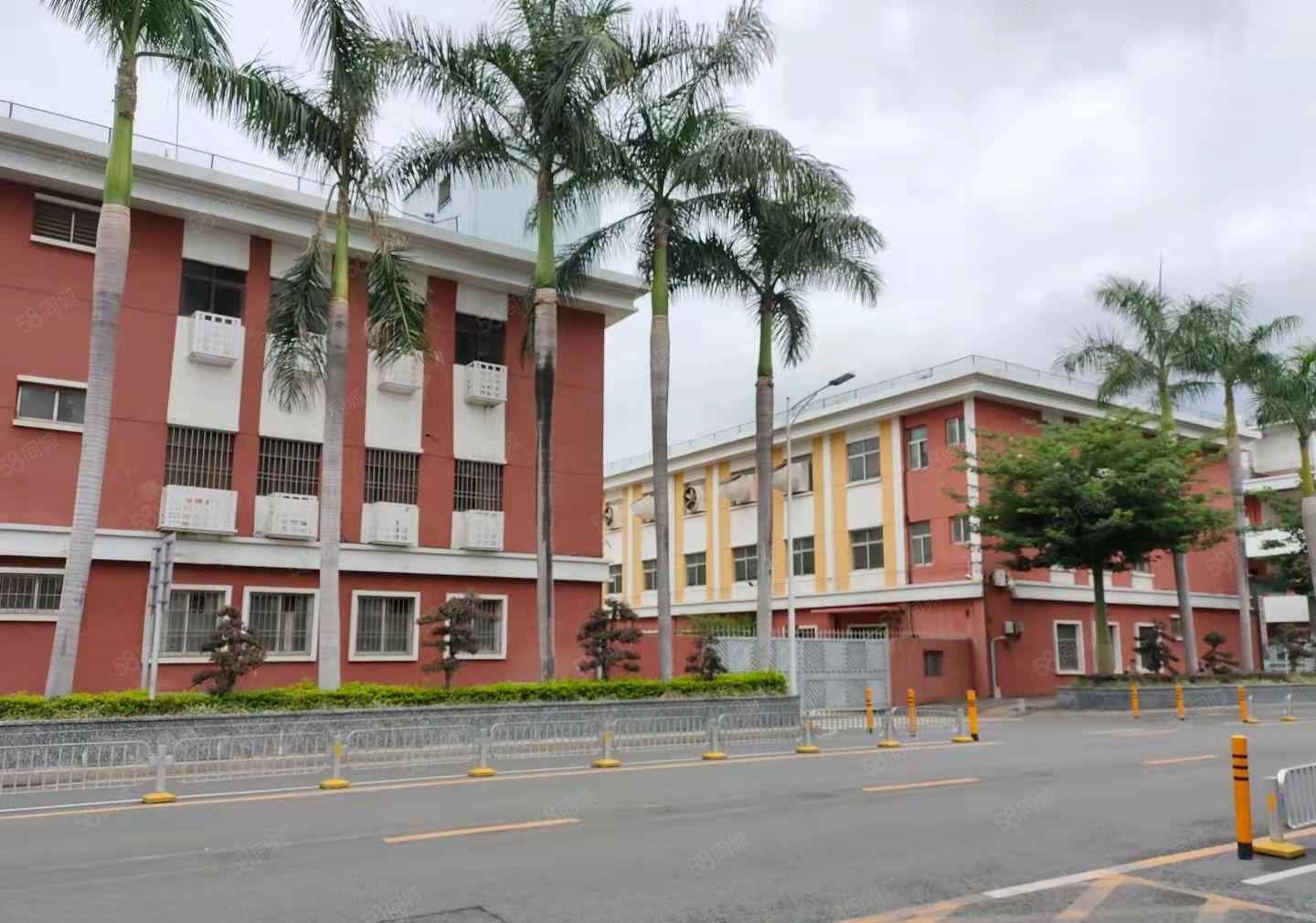 300平起租坪山坑梓秀新原房东精装修可办公厂房仓库出租