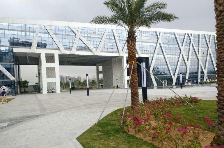 坪山生物基地新出楼上1500平方现成装修办公室仓库厂房出租