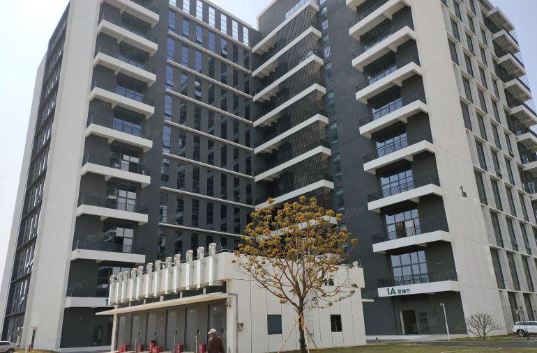 坪山高新区，生物产业基地全新红本厂房招租