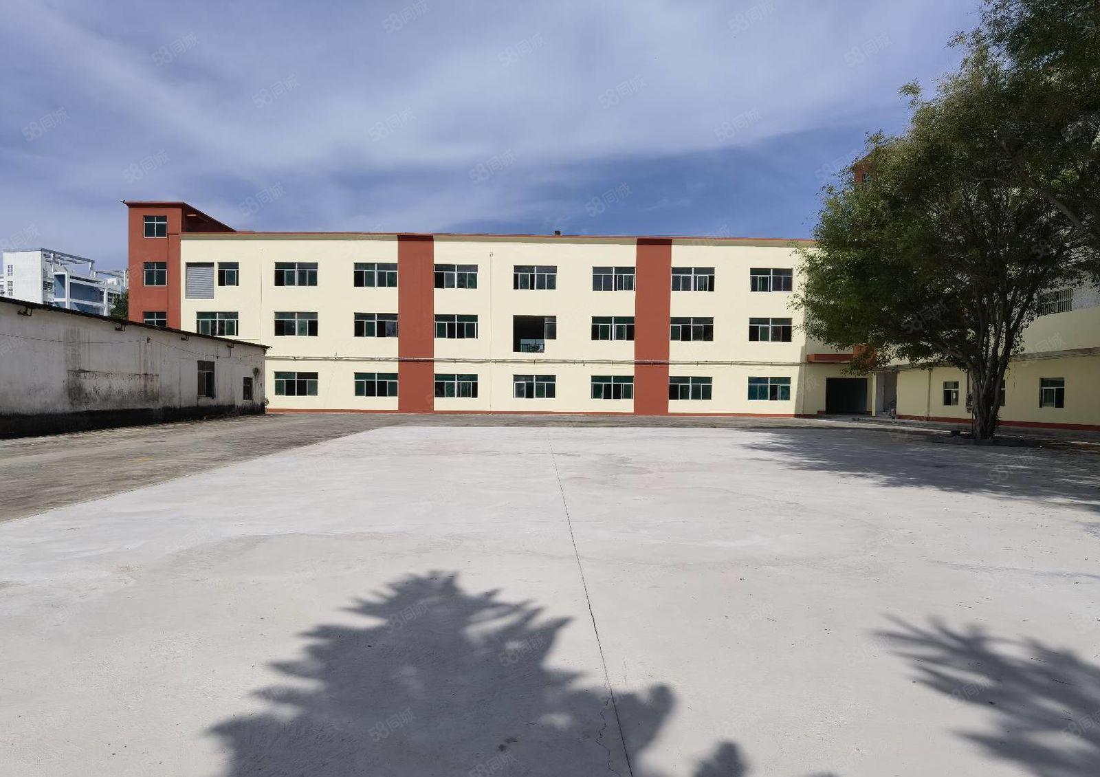 坪山新出原房东独门独院9000平厂房出租1000平起分已翻新