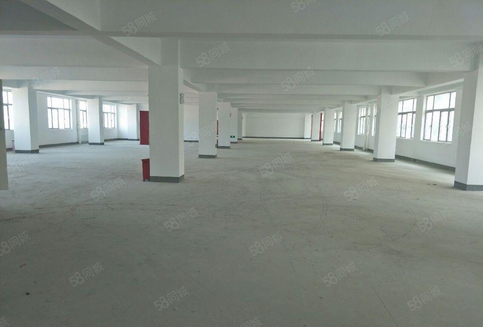 龙岗全新12000平米全新独栋厂房出租可分租