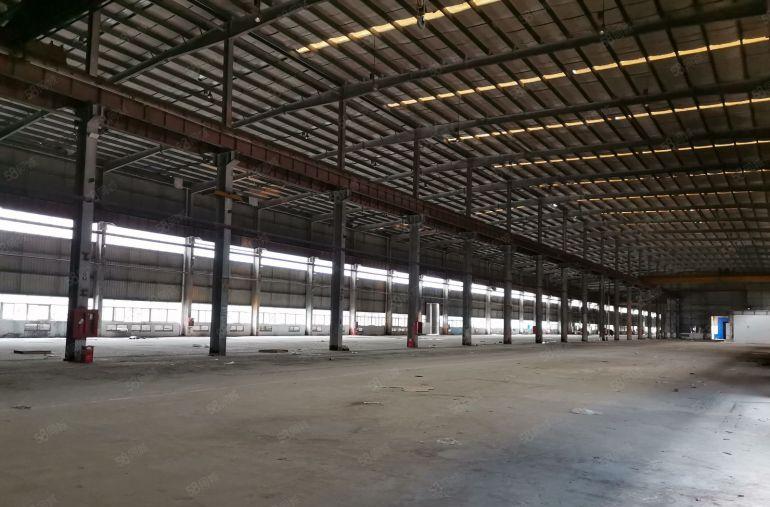 深圳市坪山区8000平方米红本钢结构厂房出租，层高12米