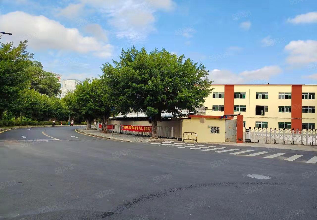 合同十年！坪山丹梓大道旁原房东独院厂房仓库10000平出租