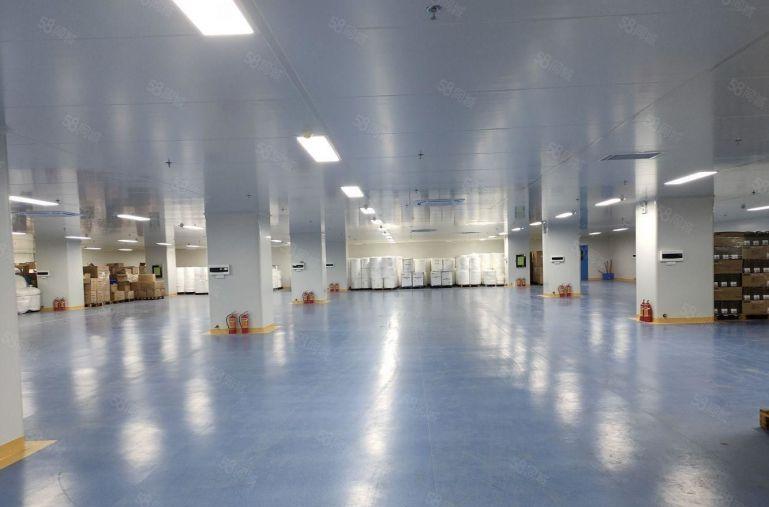 坪山高新区花园式科技园区红本厂房5000平厂房仓库出租可分租