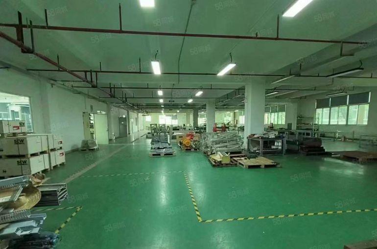 深圳坪山石井厂房出租带现成水电装修办公室