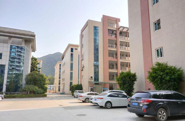 坪山原房东工业园红本厂房1500平~5800平整栋招租