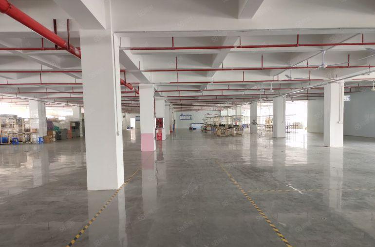 坪山大工业区高新产业园红本厂房3000平米