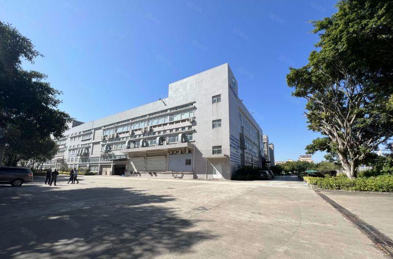 坪山原房东层高7米19000平方厂房仓库出租1200平可分租