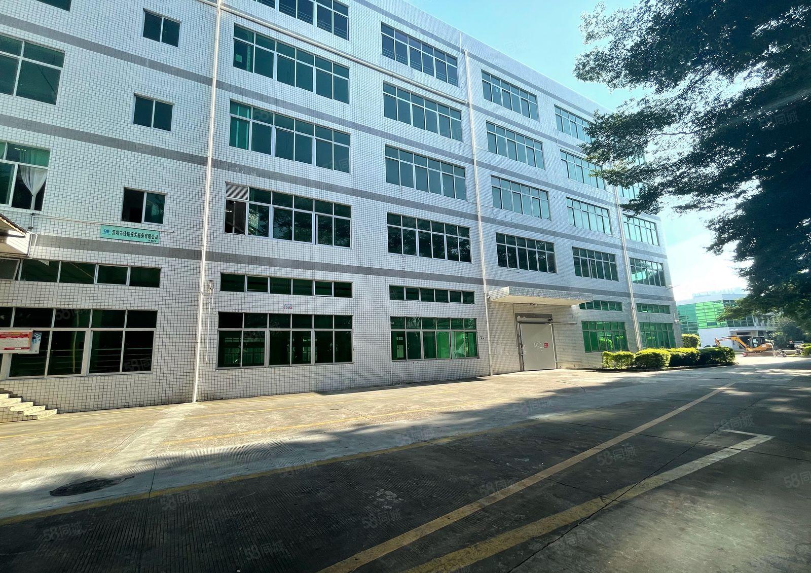 坪山小面积厂房出租200,300,500多个面积出租水电齐全