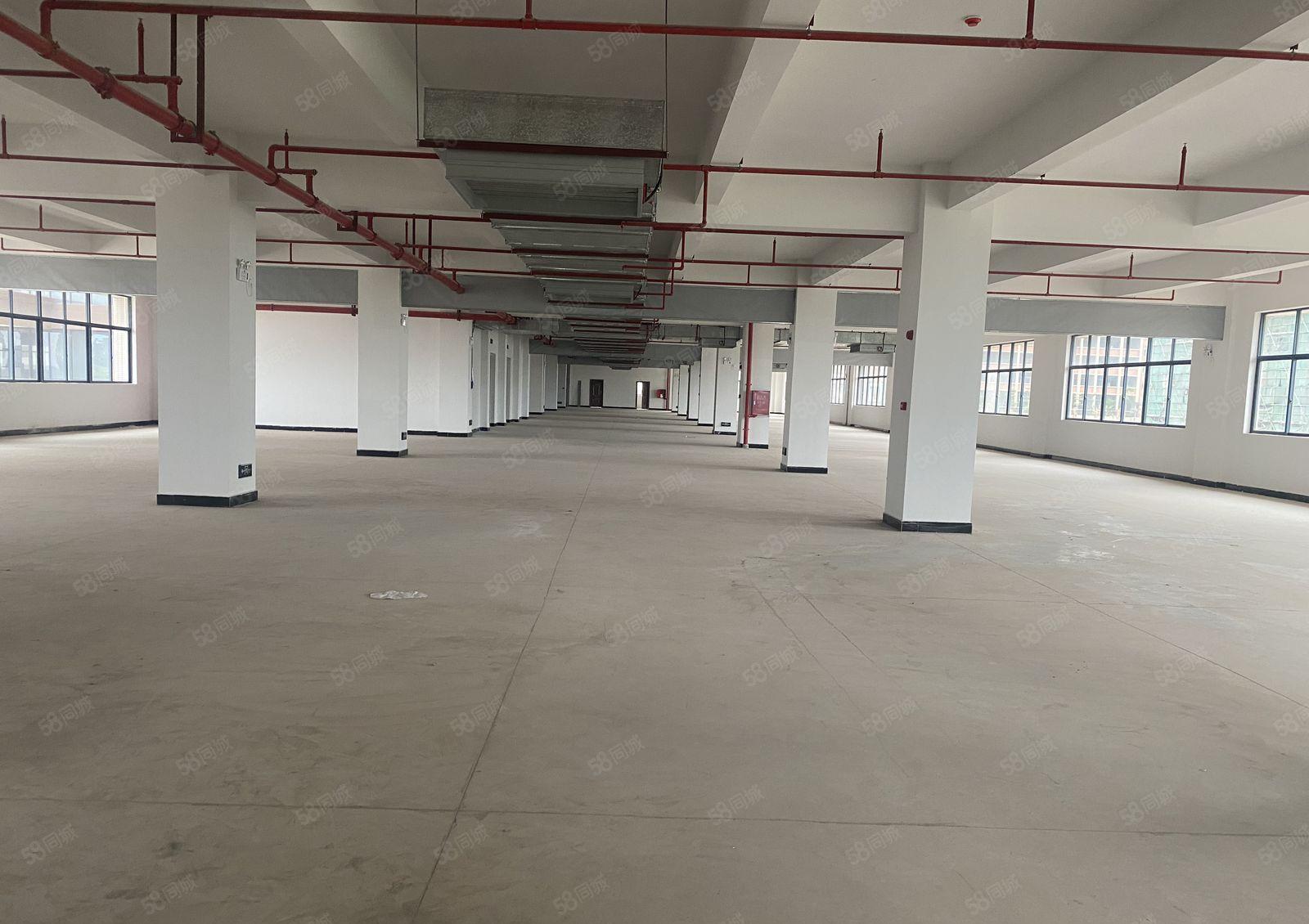 坪山中心区原房东红本重工业单层3000平仓库厂房出租可分租