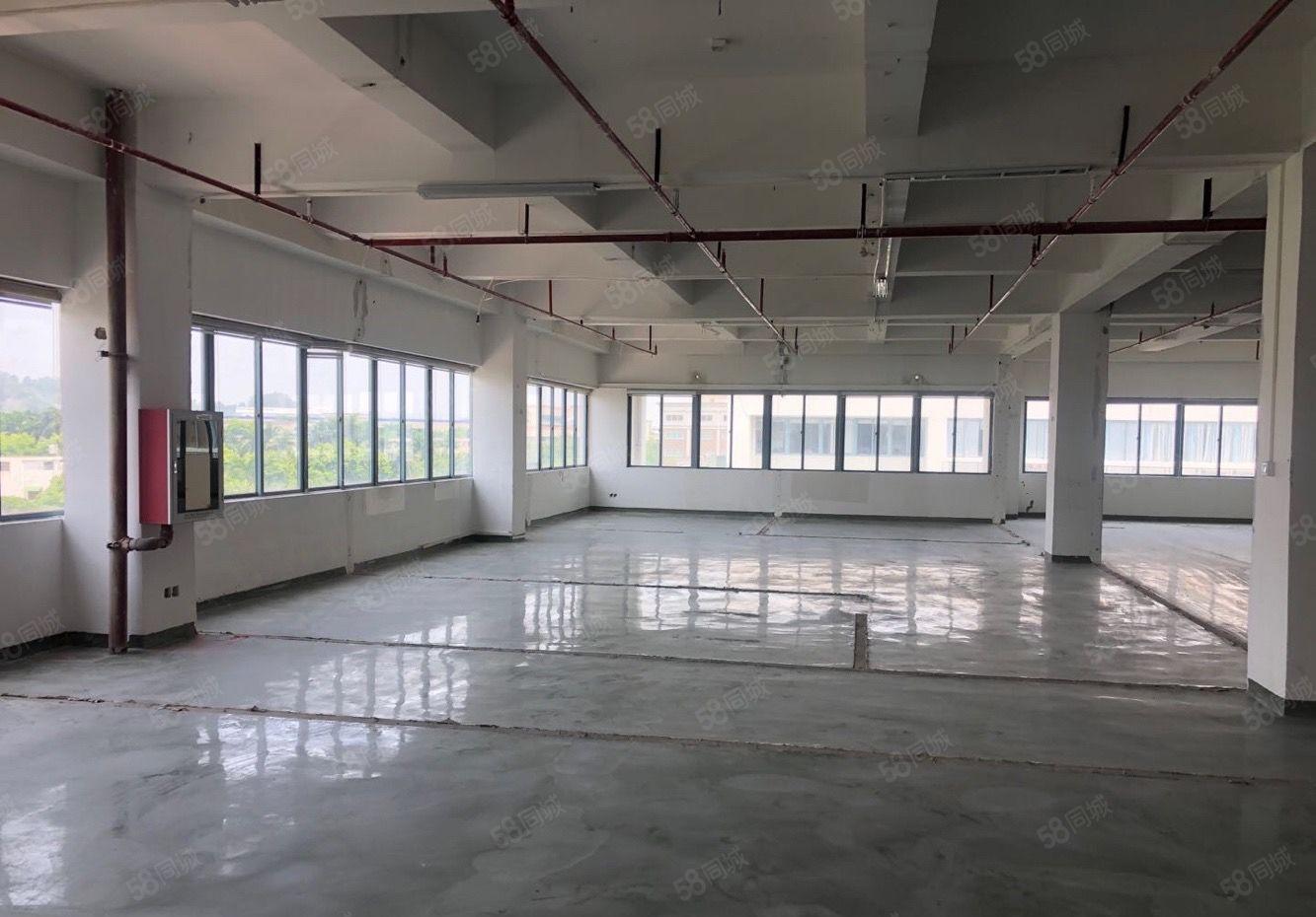 坪山大工业区单层5000平带装修厂房出租合同8年形象好有补贴