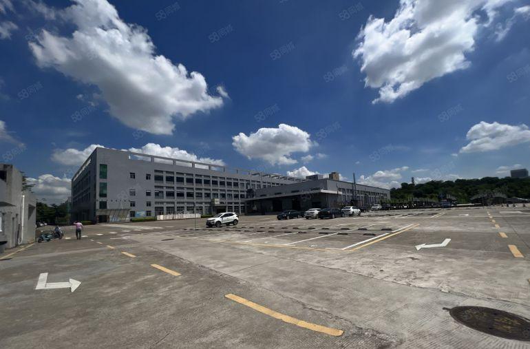 坑梓主干道原房东一楼厂房2500平方仓库出租带卸货平台空地大