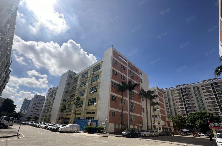 坪山竹坑原房东大型科技园3楼500平带装修办公仓库厂房出租