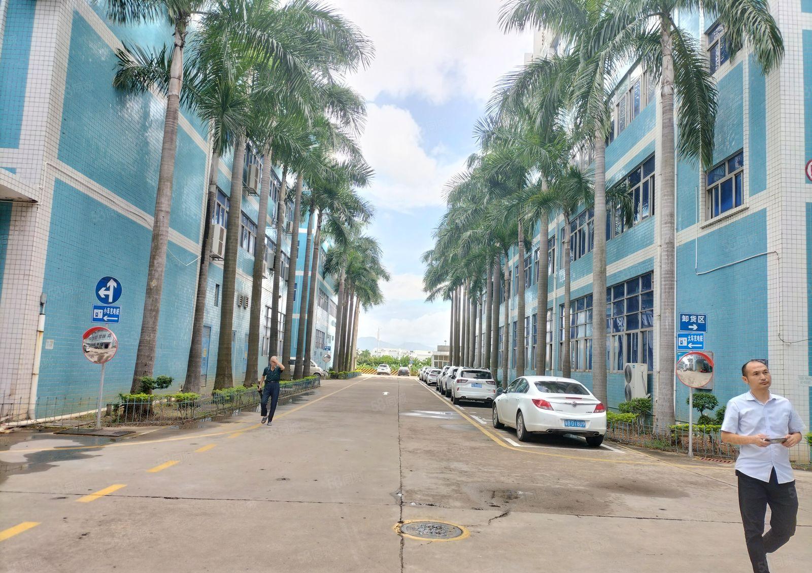 碧岭新出独院一楼6米高1000平，实际面积300平起租有红本