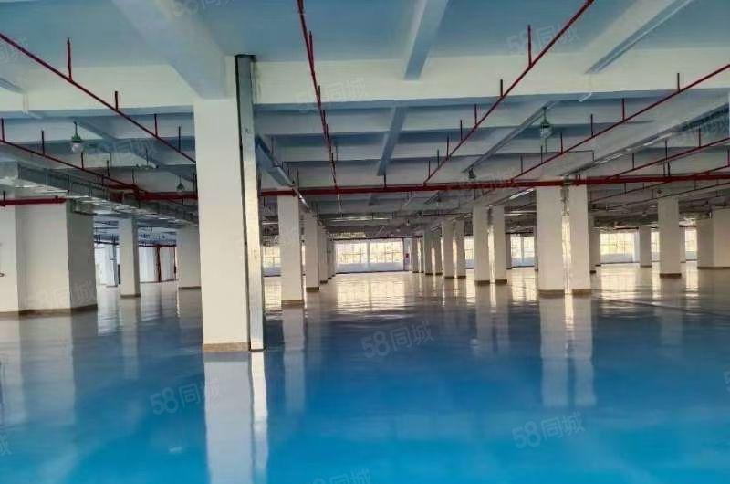 坪山高薪产业园2000平方红本厂房出租尤享房租补贴可分租