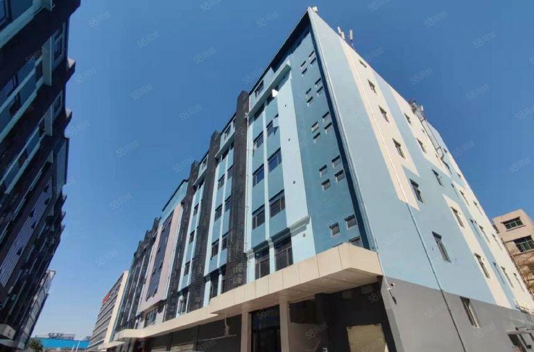 坪山精装修200平至2000平方  厂房办公仓库低价出租一楼