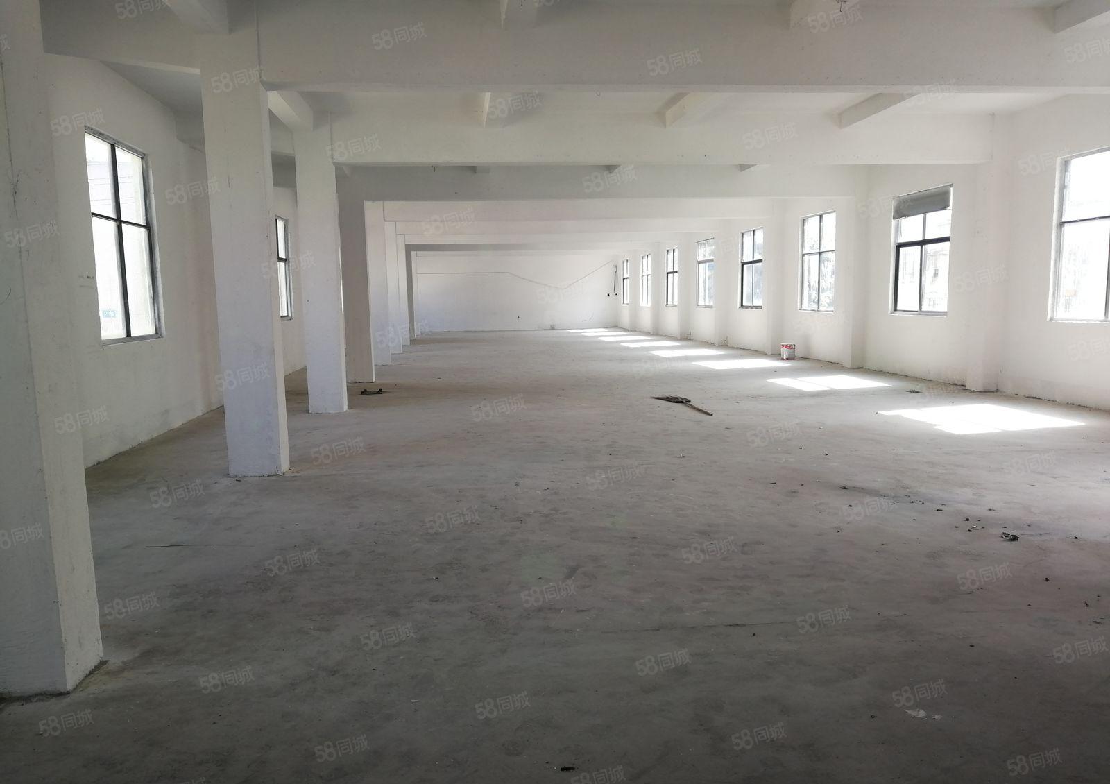 坪山大工业区标准厂房一楼1000平米原房东厂房出租