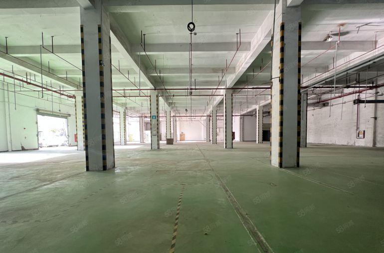 坪山原房东电商办公厂房300仓库出租带装修无尘车间一楼上分租