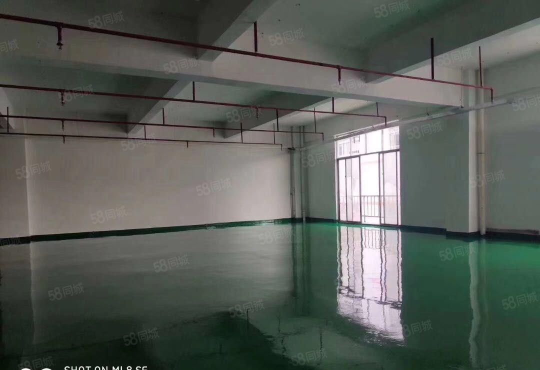 100起分坪山高铁电梯口精装可带家私电商办公厂房出租500平