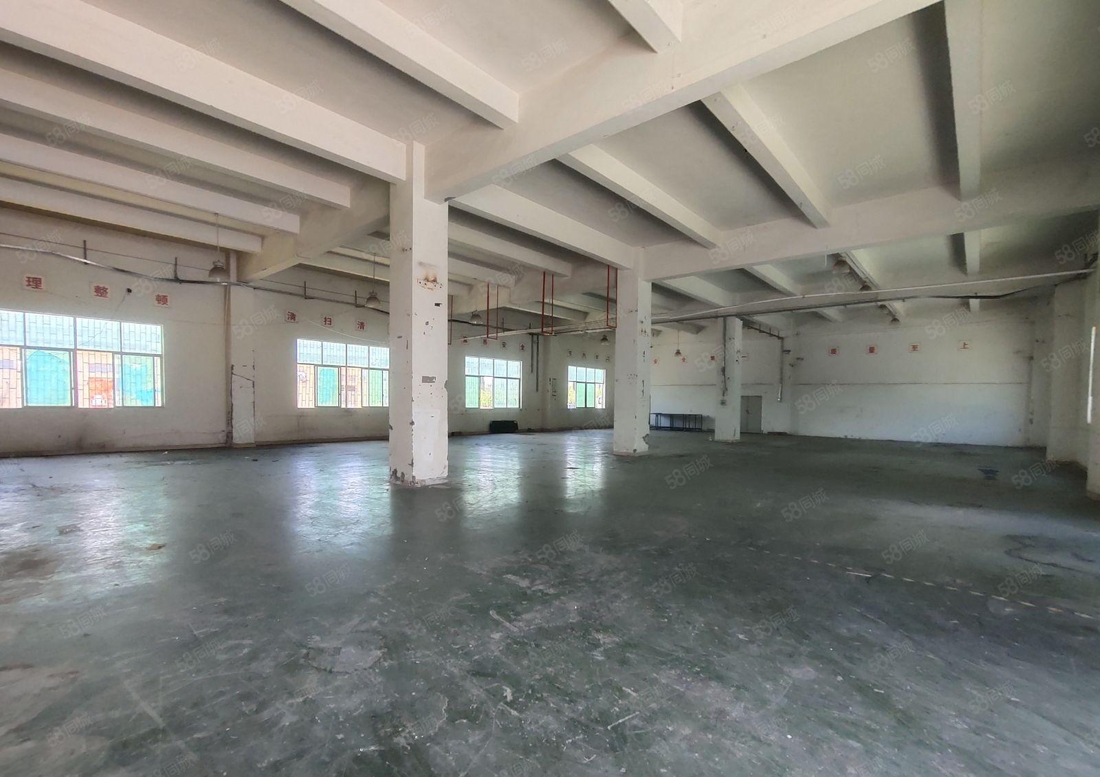 坑梓6米高厂房，500平起租