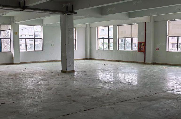 坑梓工业园区2000平招租环境优美价格公道交通便利