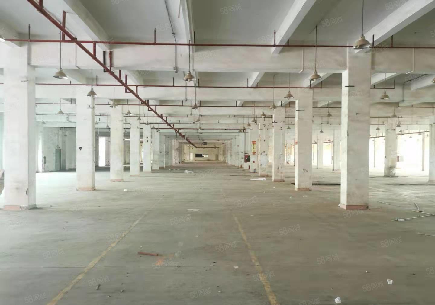 龙岗宝龙原房东独院厂房147000平方花园式厂房300平起分