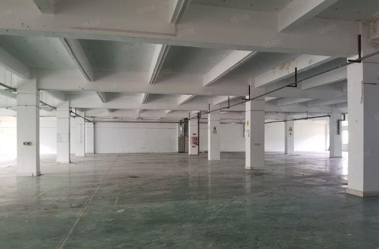 坪山碧岭工业区原房东红本独院厂房1200平出租可办环评易招工