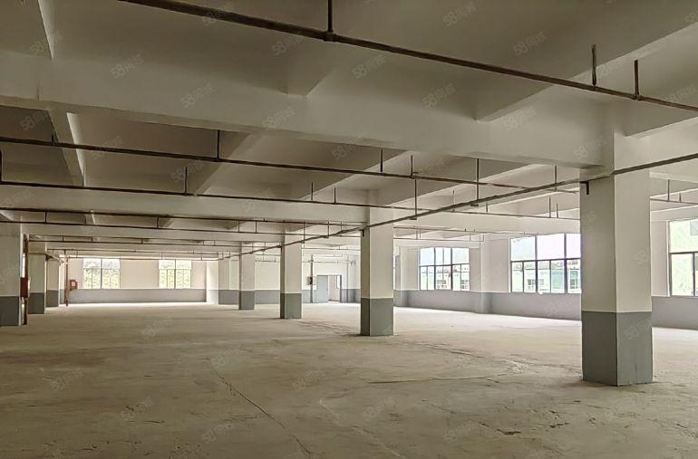 原房东直租坪山龙田莹展大型工业园3楼3400平高4.8米