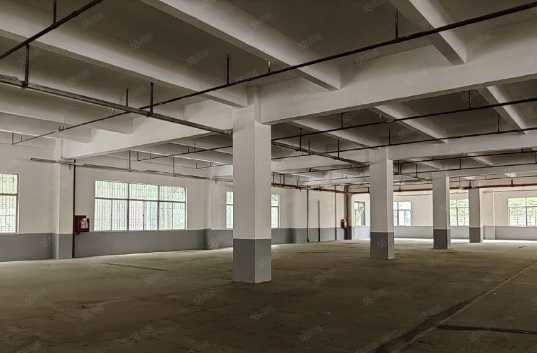 原房东直租坪山龙田莹展大型工业园3楼3400平高4.8米