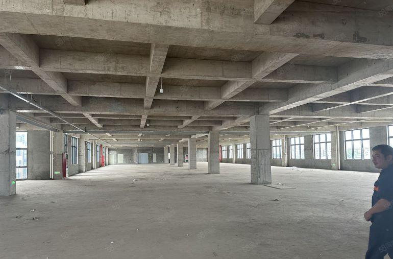 坑梓比亚迪旁4000平超低出租 价格免租期可谈