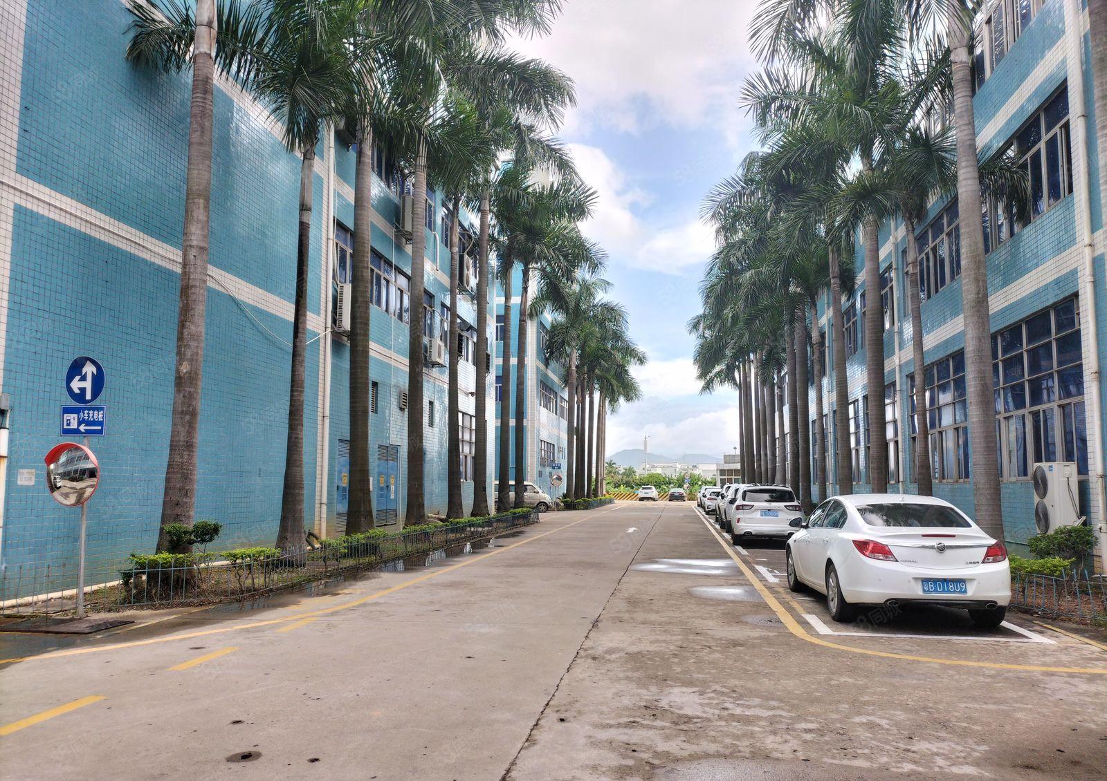 碧岭新出独院一楼6米高1000平，实际面积300平起租有红本