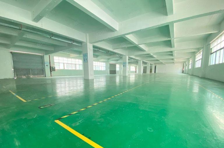 20元起低价分租坪山高新工业园厂房出租20000平仓库出租转