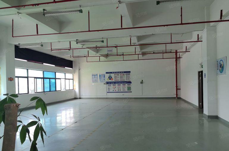 深圳市坪山区原房东精装修500平米，办公室仓库，研发厂房出租