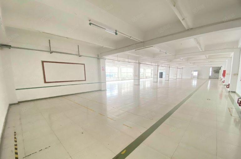 原房东厂房直租！低价！成熟工业园区独院厂房出租独栋厂房出租