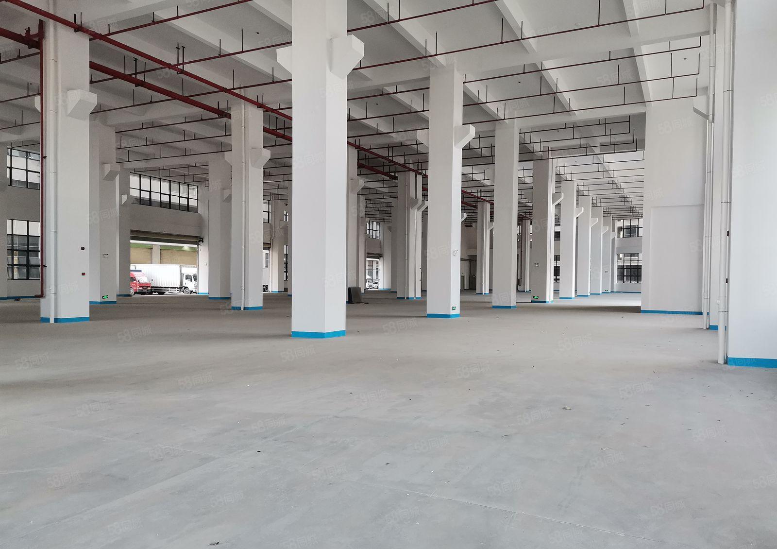 深圳市坪山区一楼11米高红本厂房出租，一楼4500平方米