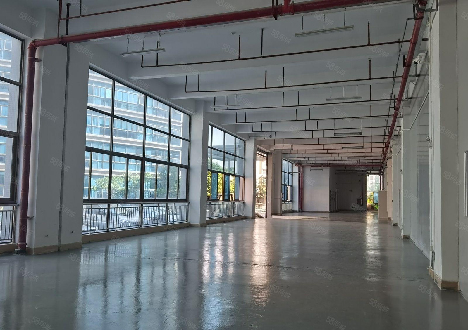 享政策补贴！坪山医疗产业园楼上2000平厂房仓库出租可分租