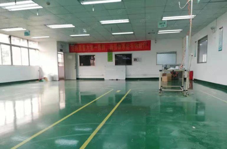 南坪高速口坪山天虹地铁出来红本厂房电商办公仓 100平起分租