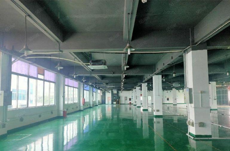 坪山坪大工业区原房东2000平厂房可分租 带装修低价仓库出租