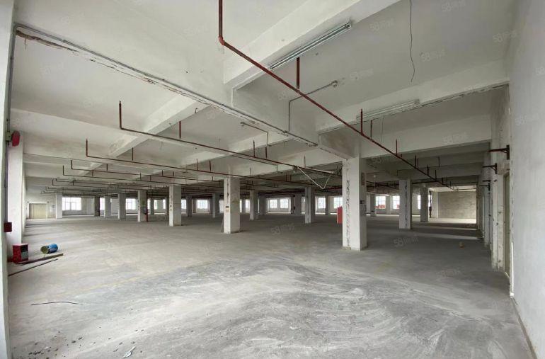 碧岭独院厂房22500平环境优美安静不吵整租不限行业