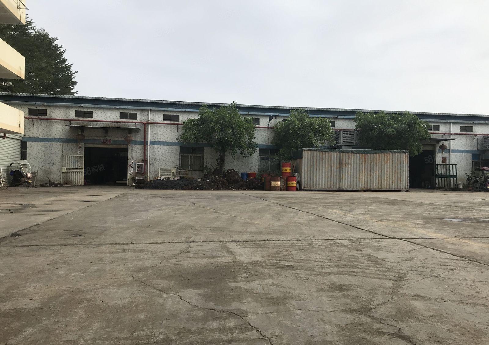 深圳坪山1400平方米，钢结构单一层厂房出租，8米高