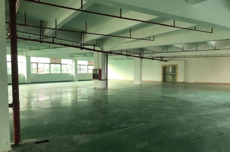 福田八卦岭一手业主200至2000平厂房写字楼仓库招租可分租