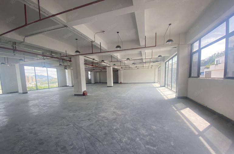 南山西丽创意园整层700平，设计，办公研发，摄影基地