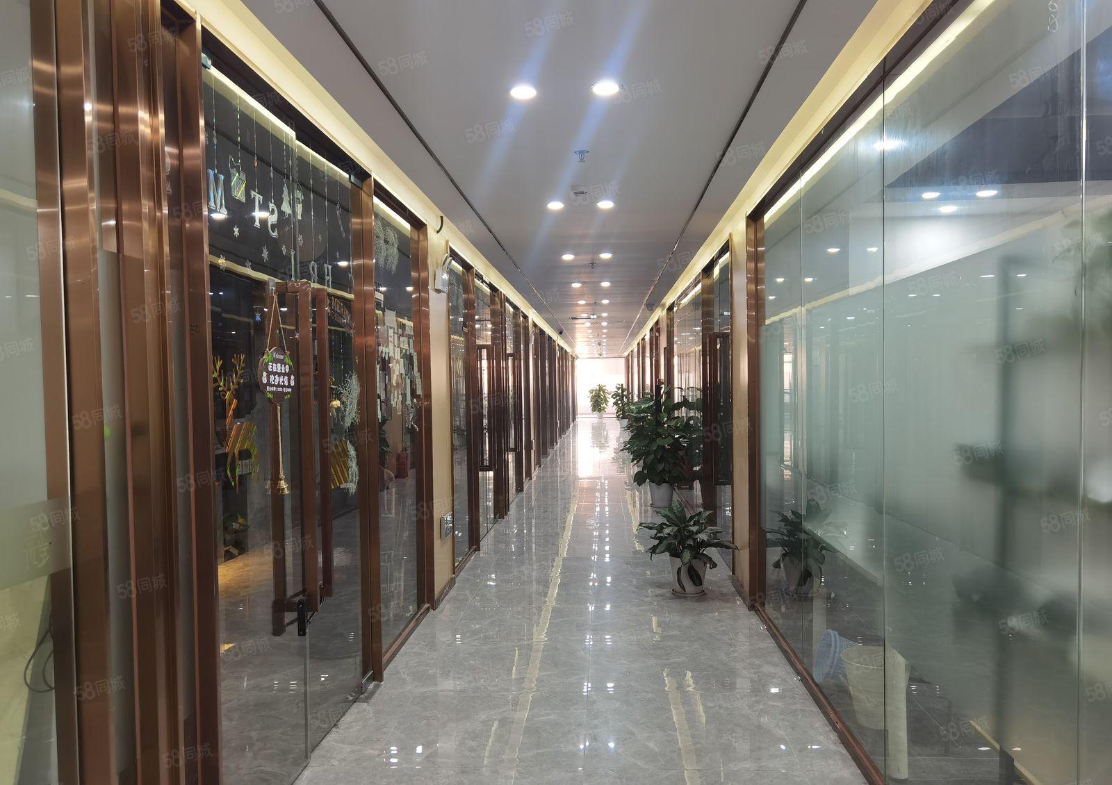 精装办公研发200平215平，随时入驻，可分租哦